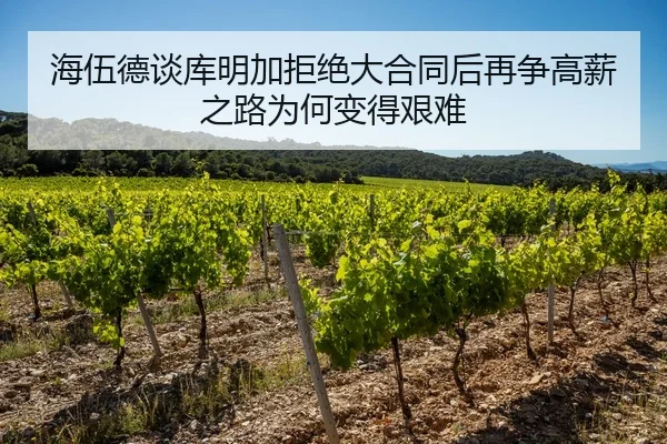 海伍德谈库明加拒绝大合同后再争高薪之路为何变得艰难 | Aiyouxi