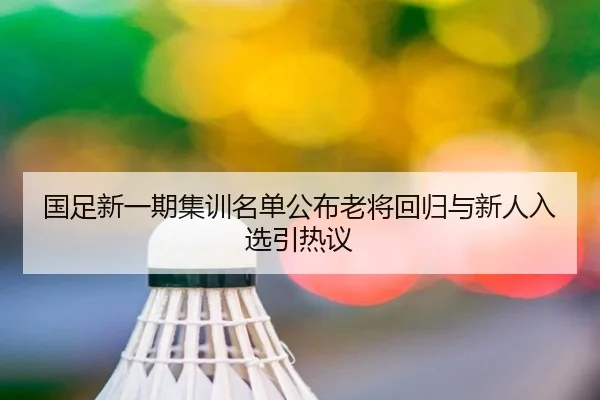 国足新一期集训名单公布老将回归与新人入选引热议（Aiyouxi）
